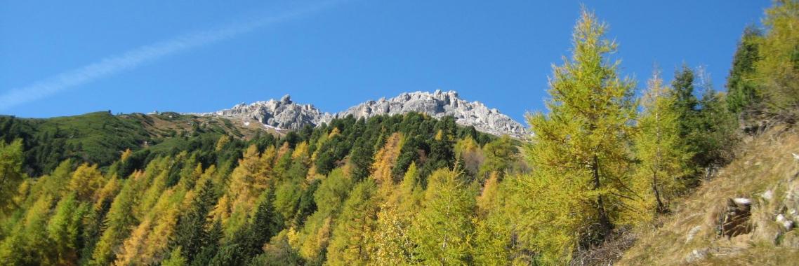 Bildung versetzt Berge Claim Röder Training
